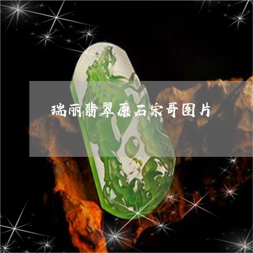 瑞丽翡翠原石宋哥图片/2023021571613 瑞丽翡翠原石宋哥图片/2023021571613
