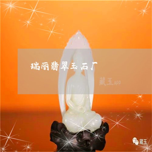 瑞丽翡翠玉石厂/2023033012704 瑞丽翡翠玉石厂/2023033012704