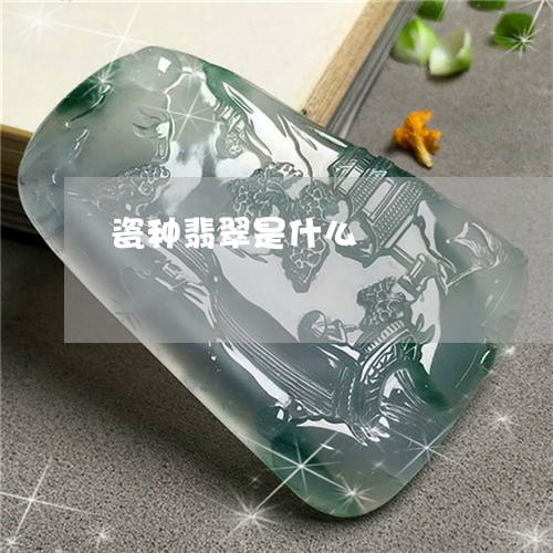 瓷种翡翠是什么/2023033004060 瓷种翡翠是什么/2023033004060