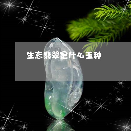 生态翡翠是什么玉种/2023041362806 生态翡翠是什么玉种/2023041362806