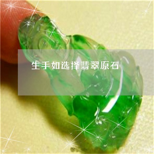 生手如选择翡翠原石/2023041382795 生手如选择翡翠原石/2023041382795