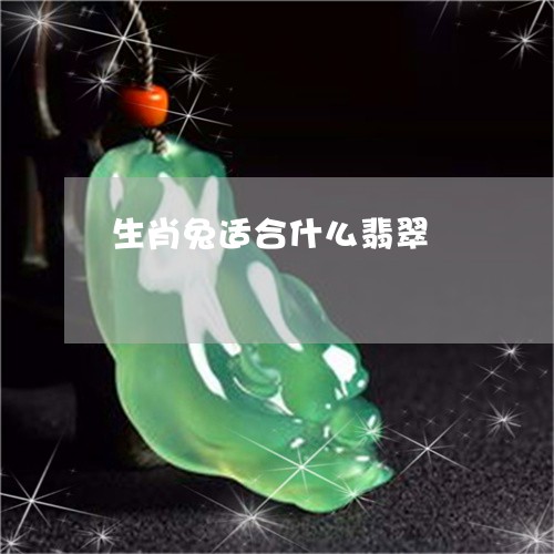 生肖兔适合什么翡翠/2023041304028
