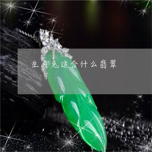 生肖兔适合什么翡翠/2023041372693