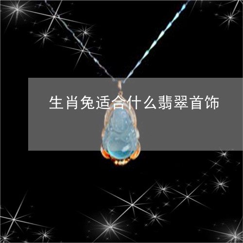 生肖兔适合什么翡翠首饰/2023061907147