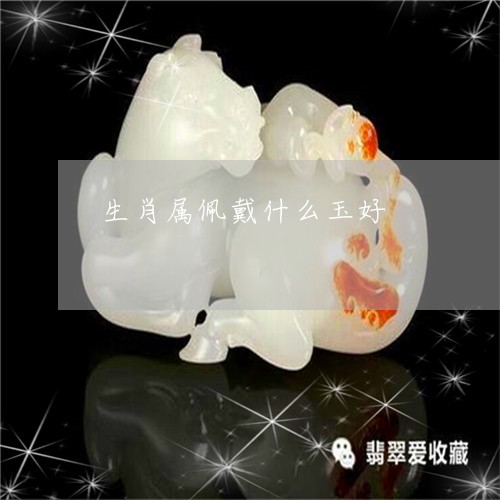 生肖属佩戴什么玉好/2023041383724