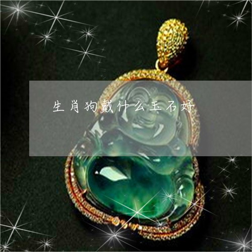生肖狗戴什么玉石好/2023041304837