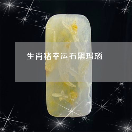 生肖猪幸运石黑玛瑙/2023041326926