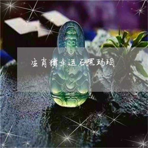 生肖猪幸运石黑玛瑙/2023041328470