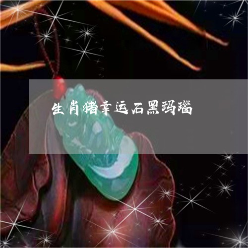 生肖猪幸运石黑玛瑙/2023041394817