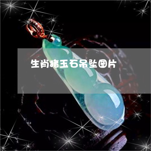 生肖猪玉石吊坠图片/2023041369582