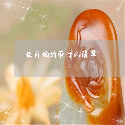 生肖猪的带什么翡翠/2023041340383