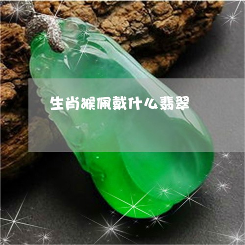生肖猴佩戴什么翡翠/2023041371605