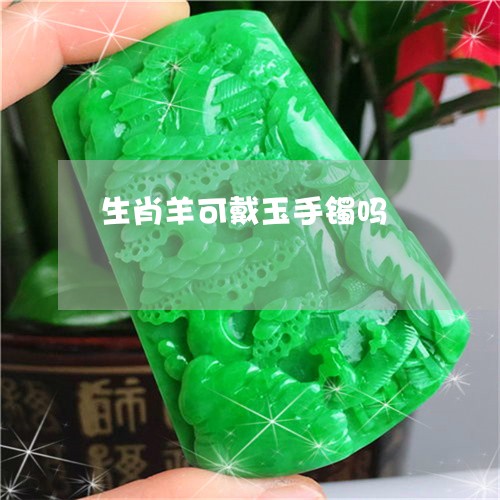 生肖羊可戴玉手镯吗/2023041308268