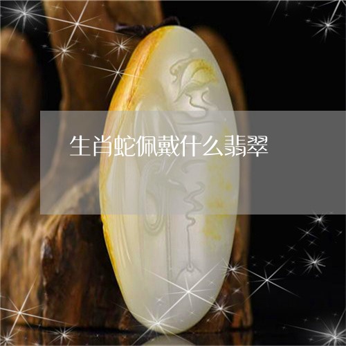 生肖蛇佩戴什么翡翠/2023041373817