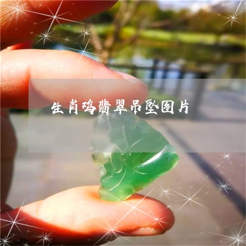 生肖鸡翡翠吊坠图片/2023041342603