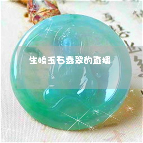 生鸣玉石翡翠的直播/2023041312894
