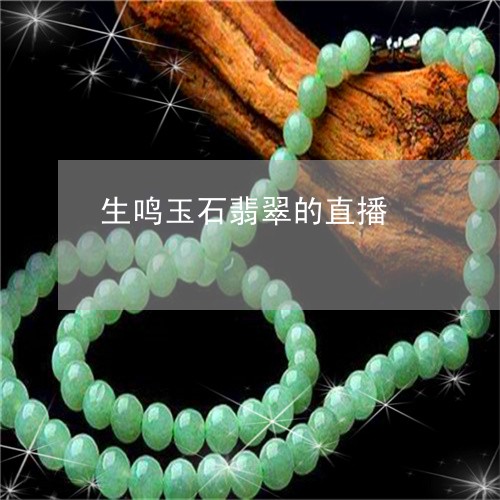 生鸣玉石翡翠的直播/2023041318170