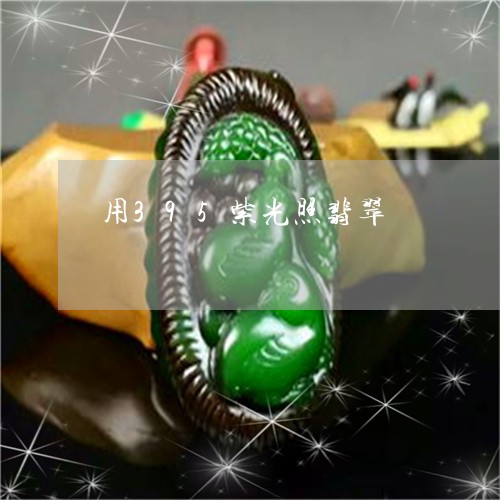 用395紫光照翡翠/2023041306361