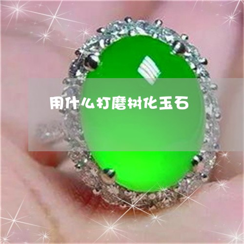 用什么打磨树化玉石/2023041304926