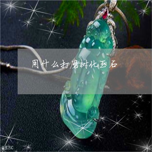 用什么打磨树化玉石/2023041327146