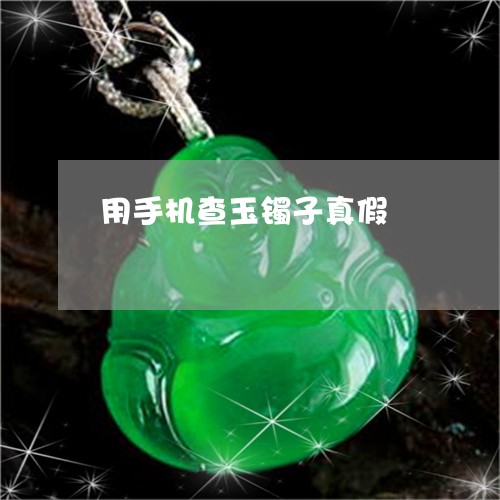 用手机查玉镯子真假/2023041375916