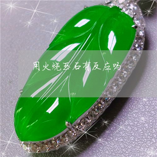 用火烧玉石有反应吗/2023041342593 用火烧玉石有反应吗/2023041342593