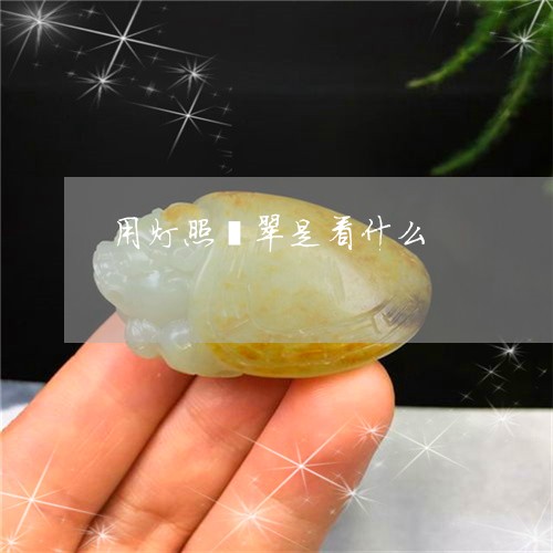 用灯照翡翠是看什么/2023041370682 用灯照翡翠是看什么/2023041370682
