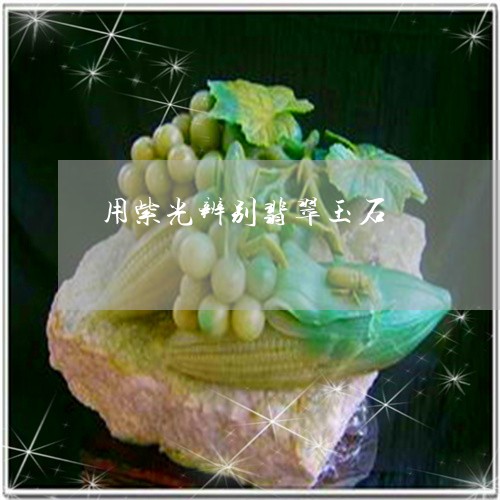 用紫光辨别翡翠玉石/2023041370483