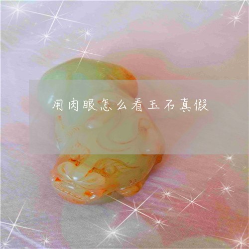 用肉眼怎么看玉石真假/2023021692937