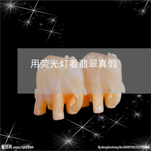 用荧光灯看翡翠真假/2023041363793
