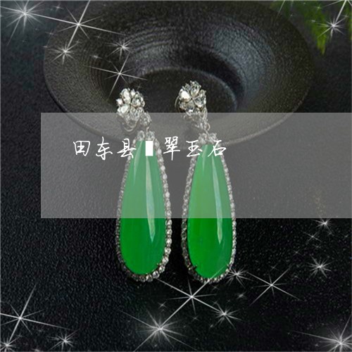 田东县翡翠玉石/2023033074927 田东县翡翠玉石/2023033074927