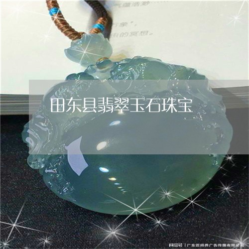 田东县翡翠玉石珠宝/2023041387040 田东县翡翠玉石珠宝/2023041387040