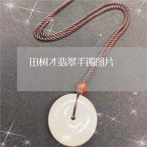 田树才翡翠手镯图片/2023041382947 田树才翡翠手镯图片/2023041382947