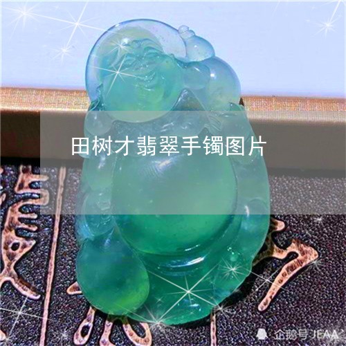 田树才翡翠手镯图片/2023041393926 田树才翡翠手镯图片/2023041393926