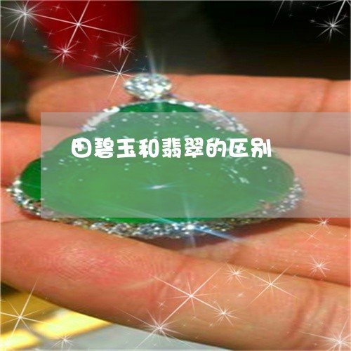田碧玉和翡翠的区别/2023041358351 田碧玉和翡翠的区别/2023041358351