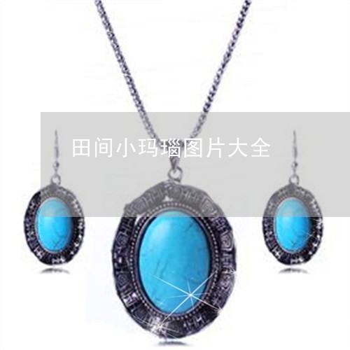 田间小玛瑙图片大全/2023041371706 田间小玛瑙图片大全/2023041371706