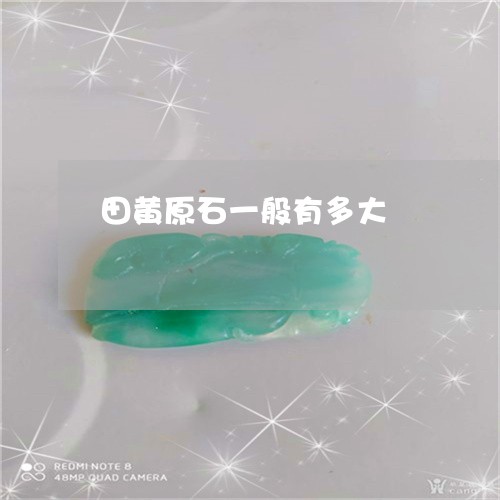 田黄原石一般有多大/2023041351591