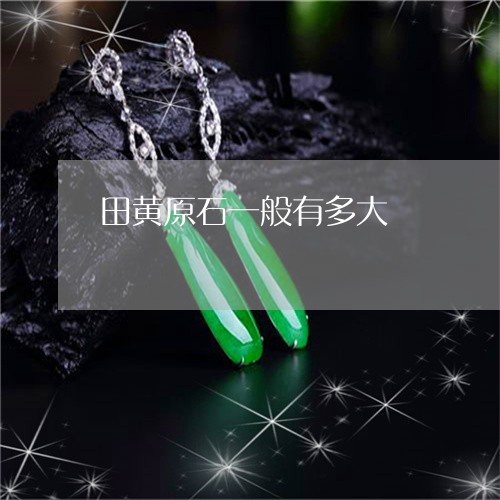 田黄原石一般有多大/2023041360403