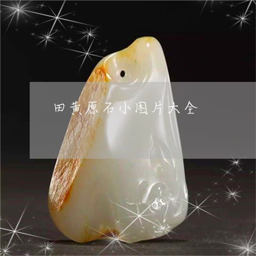 田黄原石小图片大全/2023041339282 田黄原石小图片大全/2023041339282