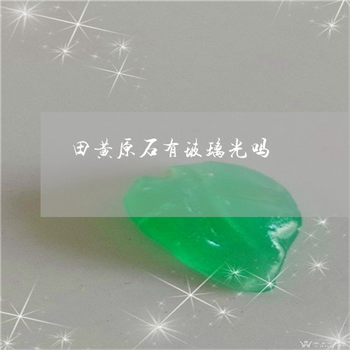 田黄原石有玻璃光吗/2023041321303