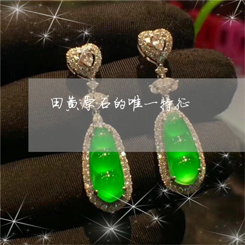 田黄原石的唯一特征/2023041340380 田黄原石的唯一特征/2023041340380