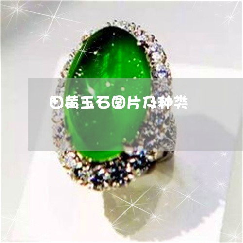 田黄玉石图片及种类/2023041330362