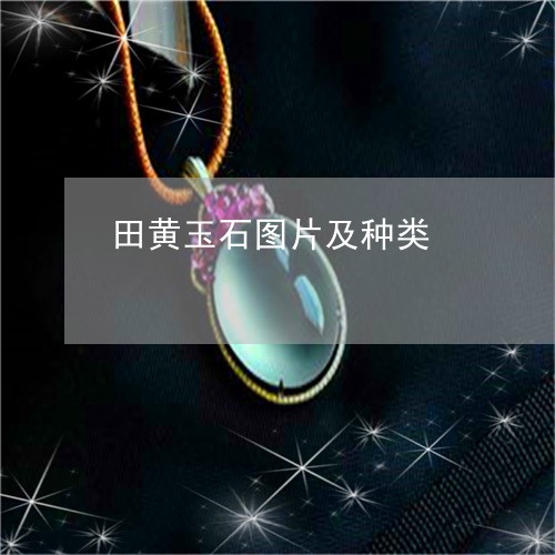 田黄玉石图片及种类/2023041374503