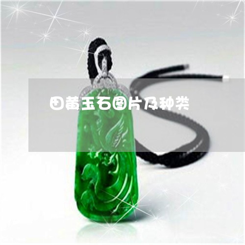 田黄玉石图片及种类/2023041388393