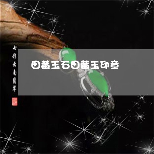 田黄玉石田黄玉印章/2023041393139