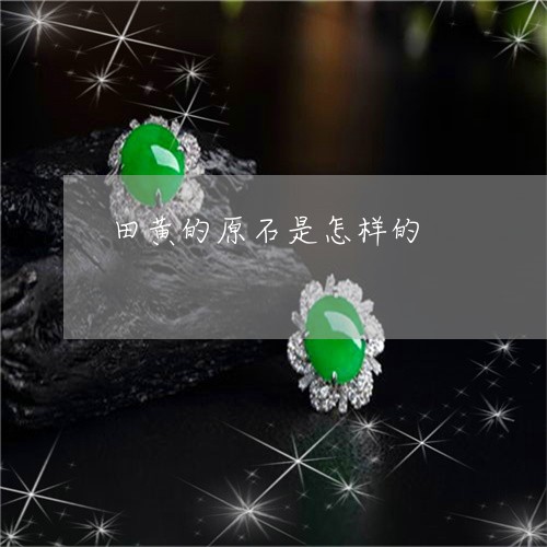 田黄的原石是怎样的/2023041353937