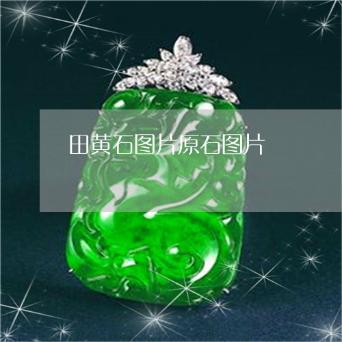 田黄石图片原石图片/2023041372594