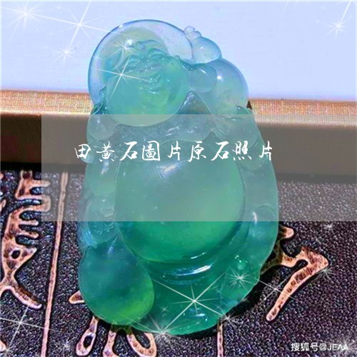 田黄石图片原石照片/2023041306946
