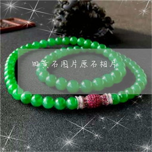田黄石图片原石相片/2023041395159
