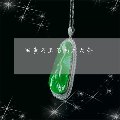 田黄石玉石图片大全/2023041329268